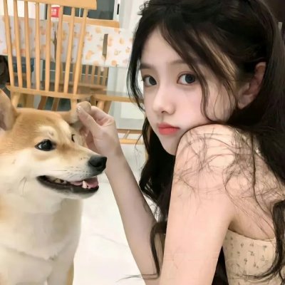 伤物语2:热血篇